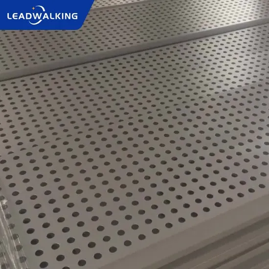Lamiera perforata in acciaio inossidabile da 6 mm per recinzione